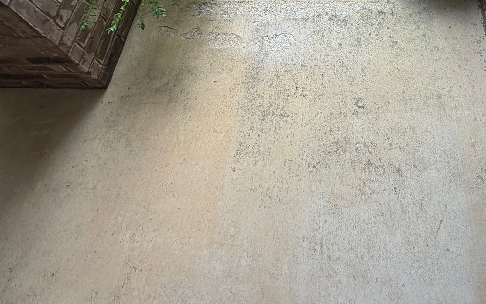 The same front entry walkway near Austin TX after sidewalk cleaning, showing clean uniform concrete