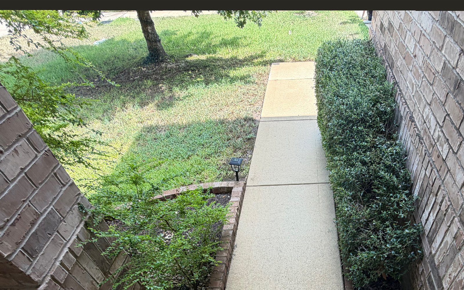 Concrete front entry walkway in the Austin TX area darkened with mildew before sidewalk cleaning