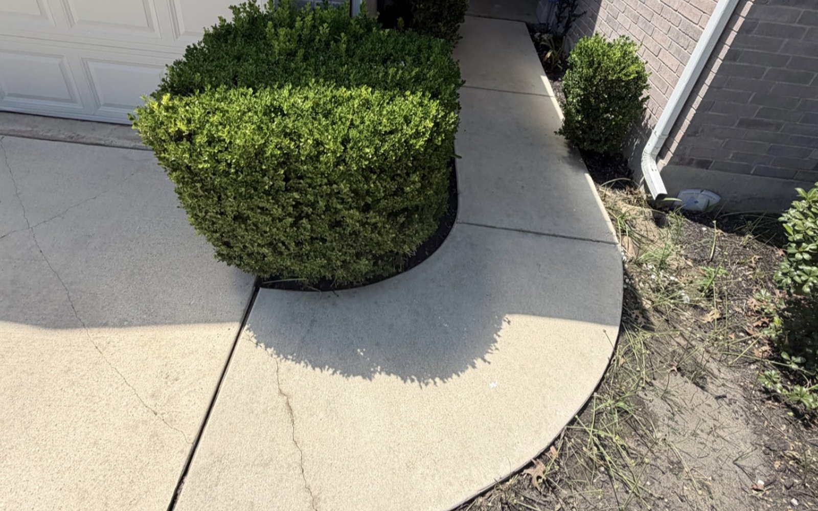 The same curved front walkway near Austin TX after walkway cleaning, with clean concrete from edge to edge