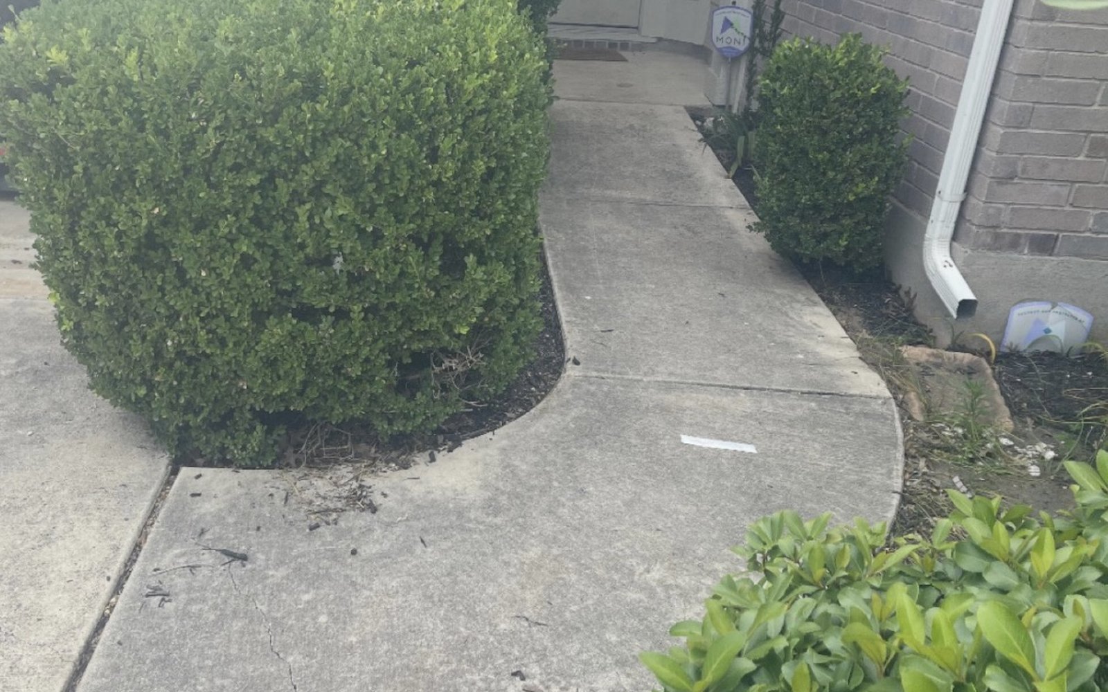 Curved concrete front walkway in the Austin TX area with organic growth and dark staining before cleaning